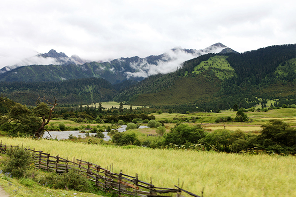 極奢環藏，拉薩，林芝，波密，魯朗林海，大峽谷，拉姆拉錯，澤當，珠峰，薩嘎，岡仁波齊，古格王朝，獅泉河，扎林寺，當惹雍錯，尼瑪，班戈，納木錯20晚21日游