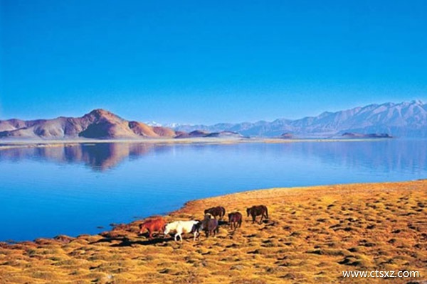 去西藏可以玩哪些景點