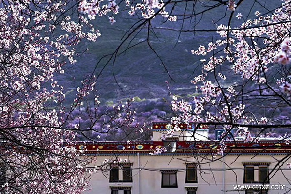 四月去西藏注意什么