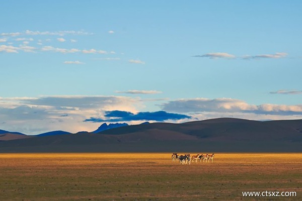 去拉薩坐哪趟火車風景最好
