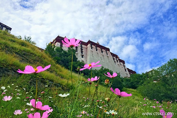 一般人去拉薩能適應嗎