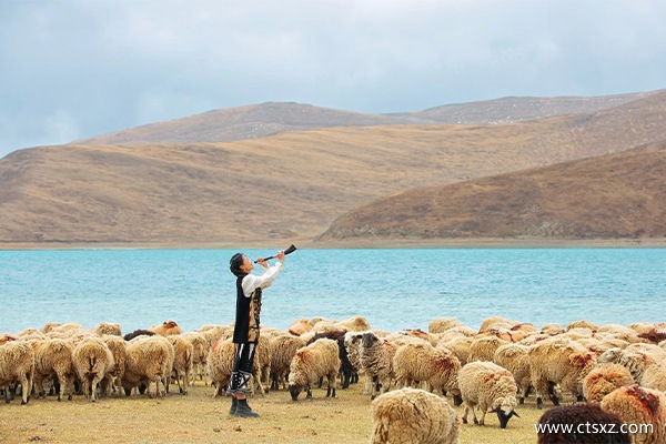 中旅西藏游價(jià)格