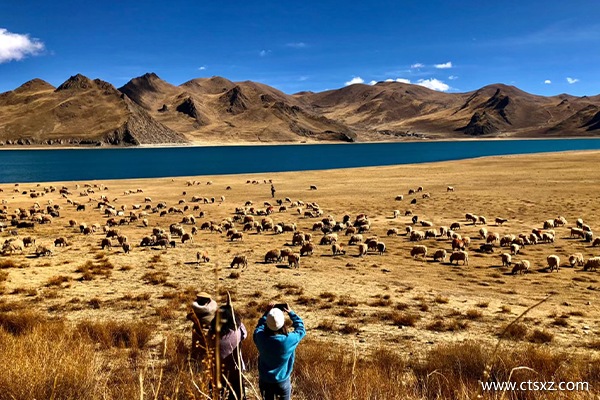 西藏是自由行還是跟團好