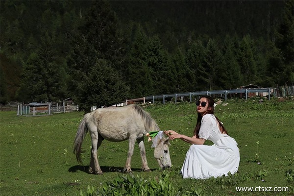 跟團去西藏的費用