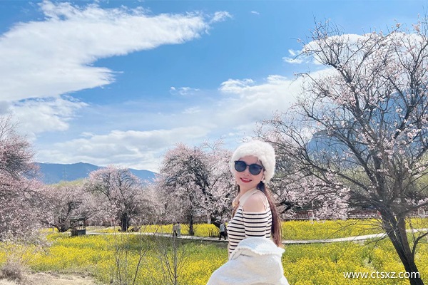 重慶去西藏旅游報團多少錢