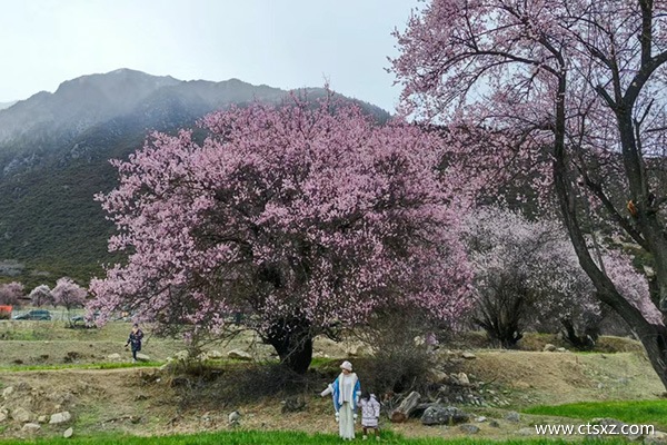北京到西藏旅行社多少錢(qián)一天