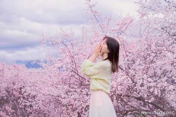 西藏旅游跟團費用多少