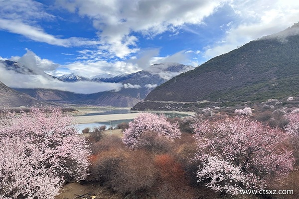 西藏跟團大概需要多少錢