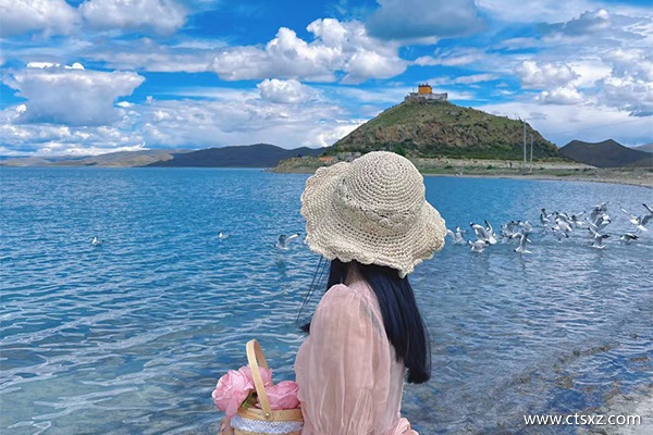 西藏10天報團多少錢